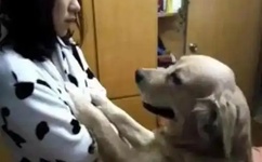 2018最新福利天堂视频92